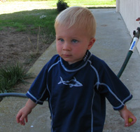 SharkShirt